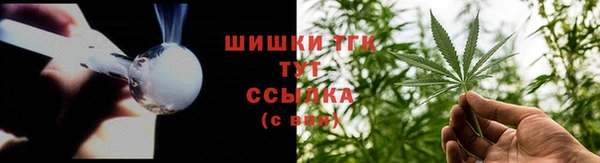 спиды Богородск