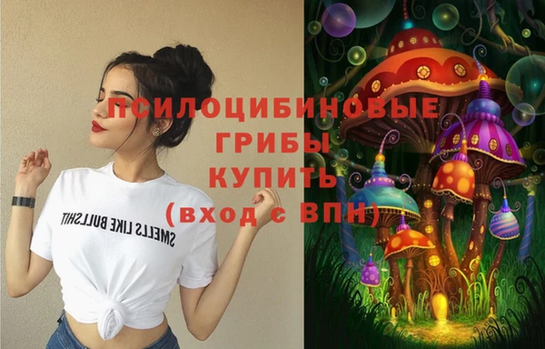 спиды Богородск